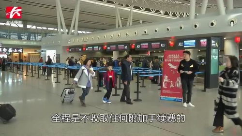 春运高峰护航 航空公司新增千余航班应对客流激增